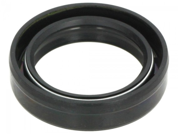 Gabeldichtring