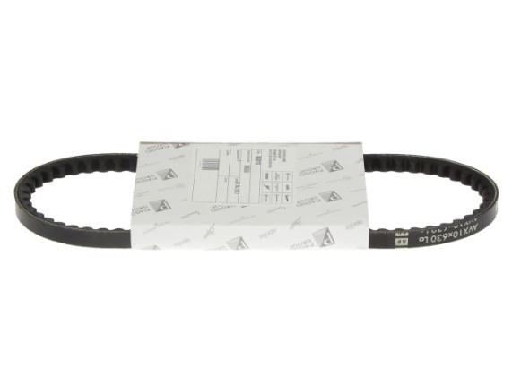 Antriebsriemen Wasserpumpe