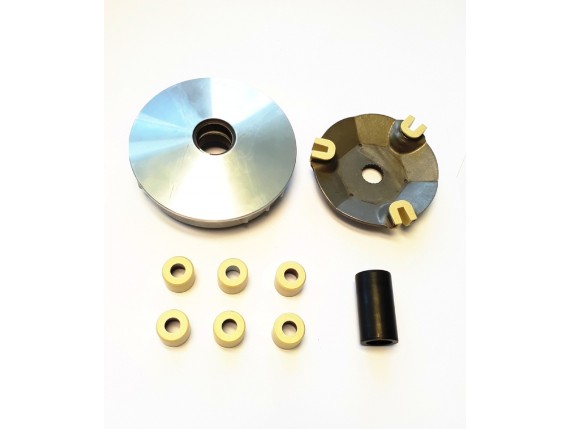 Variator mit 6 Rollen
