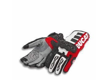 Atacama C2 Handschuhe aus Leder und Stoff