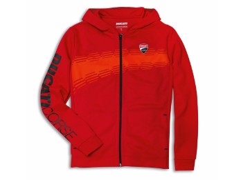 Sweatshirt DC Livery mit Kapuze