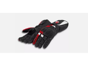 Handschuhe Speed Evo C2 