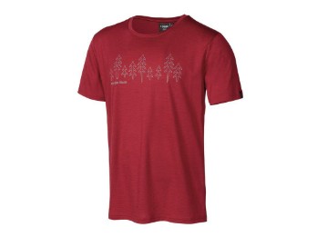 Ivanhhoe of Sweden | UW Ceasar Fir