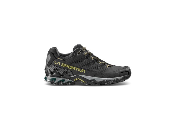 34F999811-42,0, Ultra Raptor II Leather GTX Men