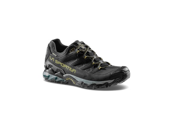 34F999811-42,0, Ultra Raptor II Leather GTX Men