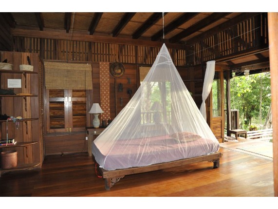 MNT1, Travel Net Single