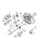 570198/C, Schraube M5x0,x8x12