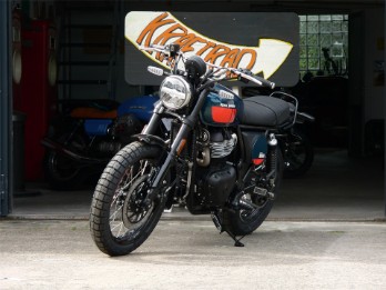 Bear 650