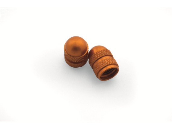 pho_pp_nmon_u6951439_7771097615004_shrader_valve_caps__sall__awsg__v1