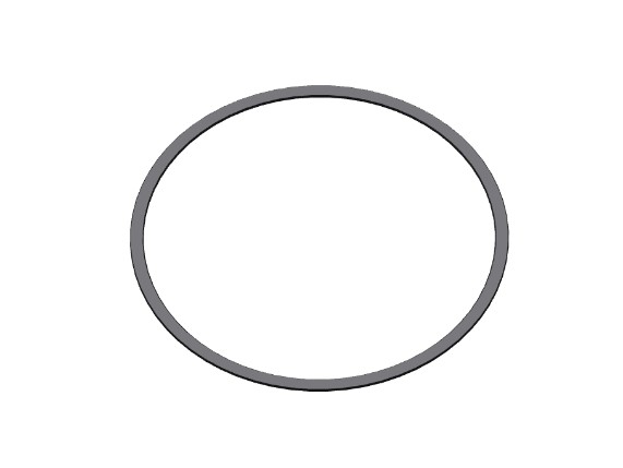 pho_wp_nmon_50181251_lock_ring_trax__sall__awsg__v1