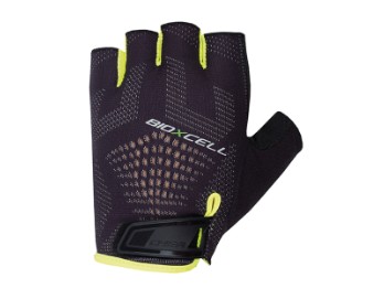 Bio X Cell Super Fly 