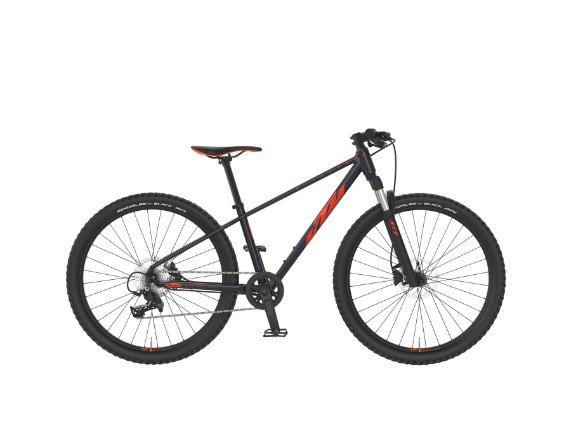ktm-wild-speed-suedbike